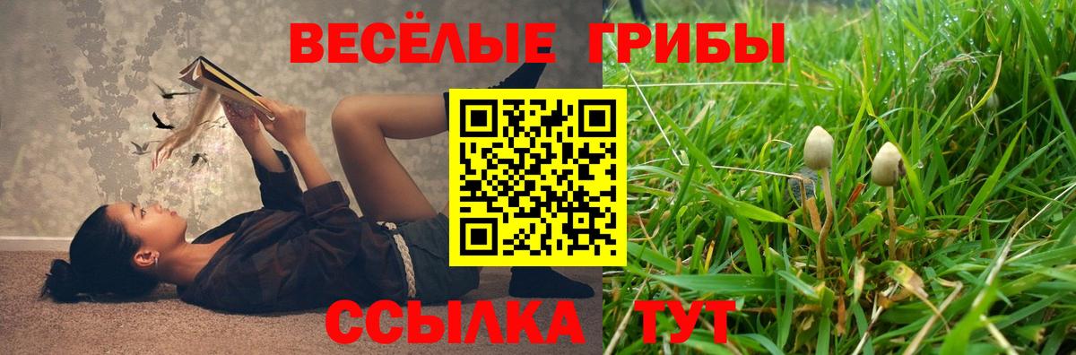Гуково  Псилоцибиновые грибы MAGIC MUSHROOMS  Псилоцибиновые грибы Magic Shrooms  Вход с VPN 