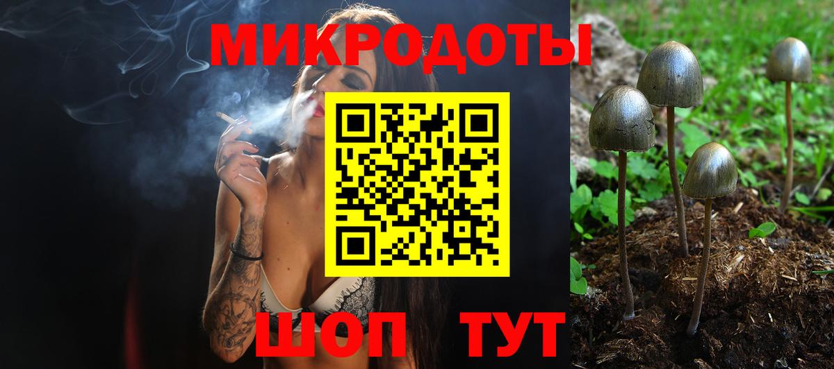 Псилоцибиновые грибы мицелий Гуково
