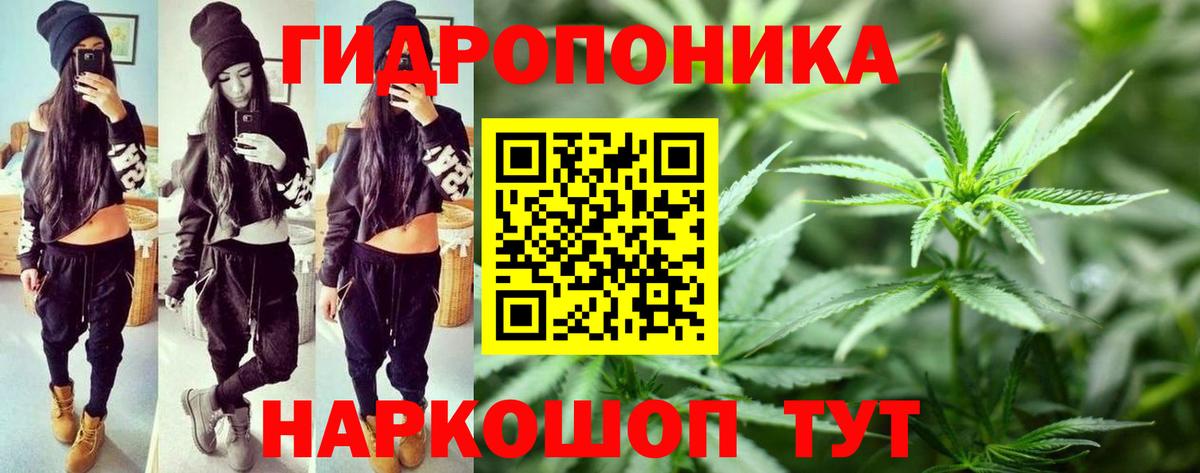 Каннабис SATIVA & INDICA Гуково